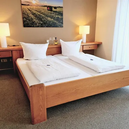 Szálloda Goldenes Fass Freudenberg am Main