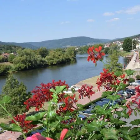 Goldenes Fass Szálloda Freudenberg am Main