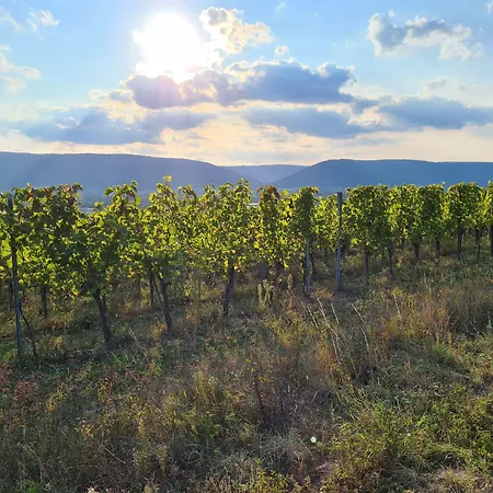 Goldenes Fass Freudenberg am Main