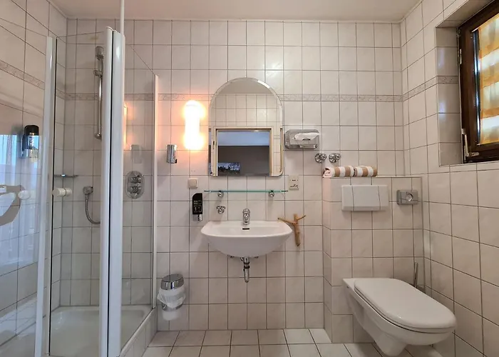 فندق Goldenes Fass Freudenberg am Main