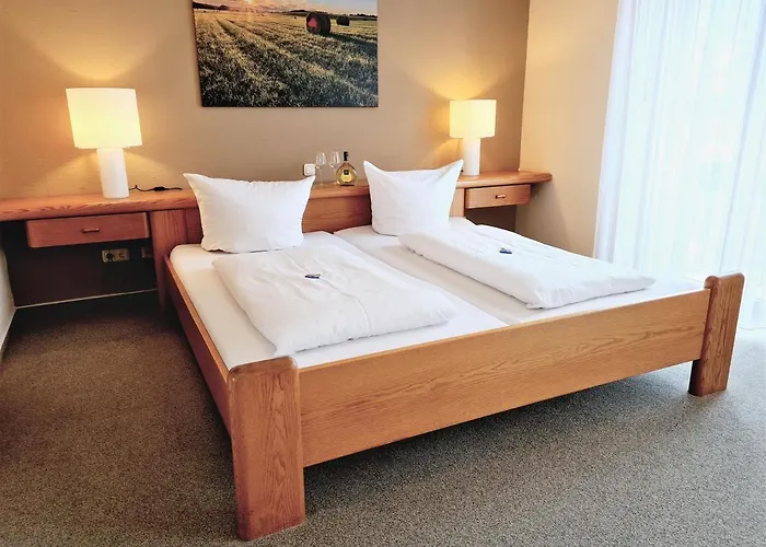 酒店 Goldenes Fass Freudenberg am Main