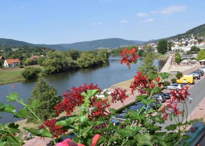 Goldenes Fass 酒店 Freudenberg am Main