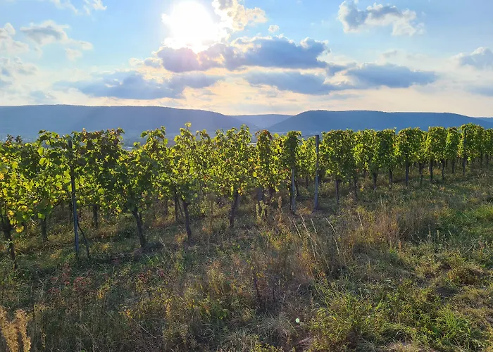 Goldenes Fass Freudenberg am Main