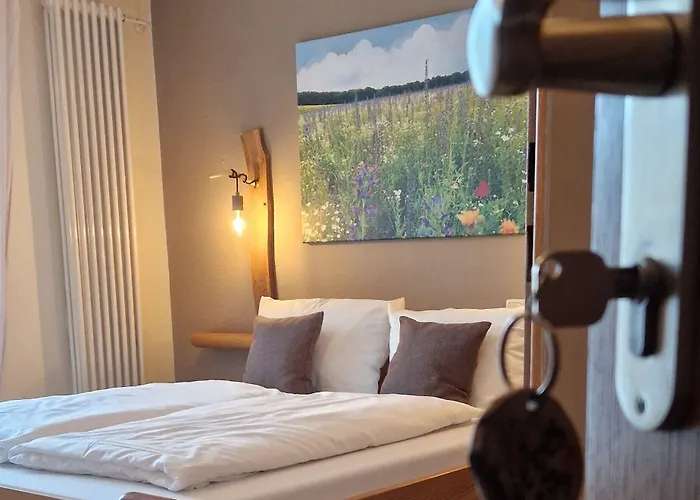 Goldenes Fass 酒店 Freudenberg am Main