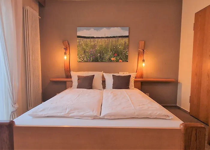 Goldenes Fass فندق Freudenberg am Main